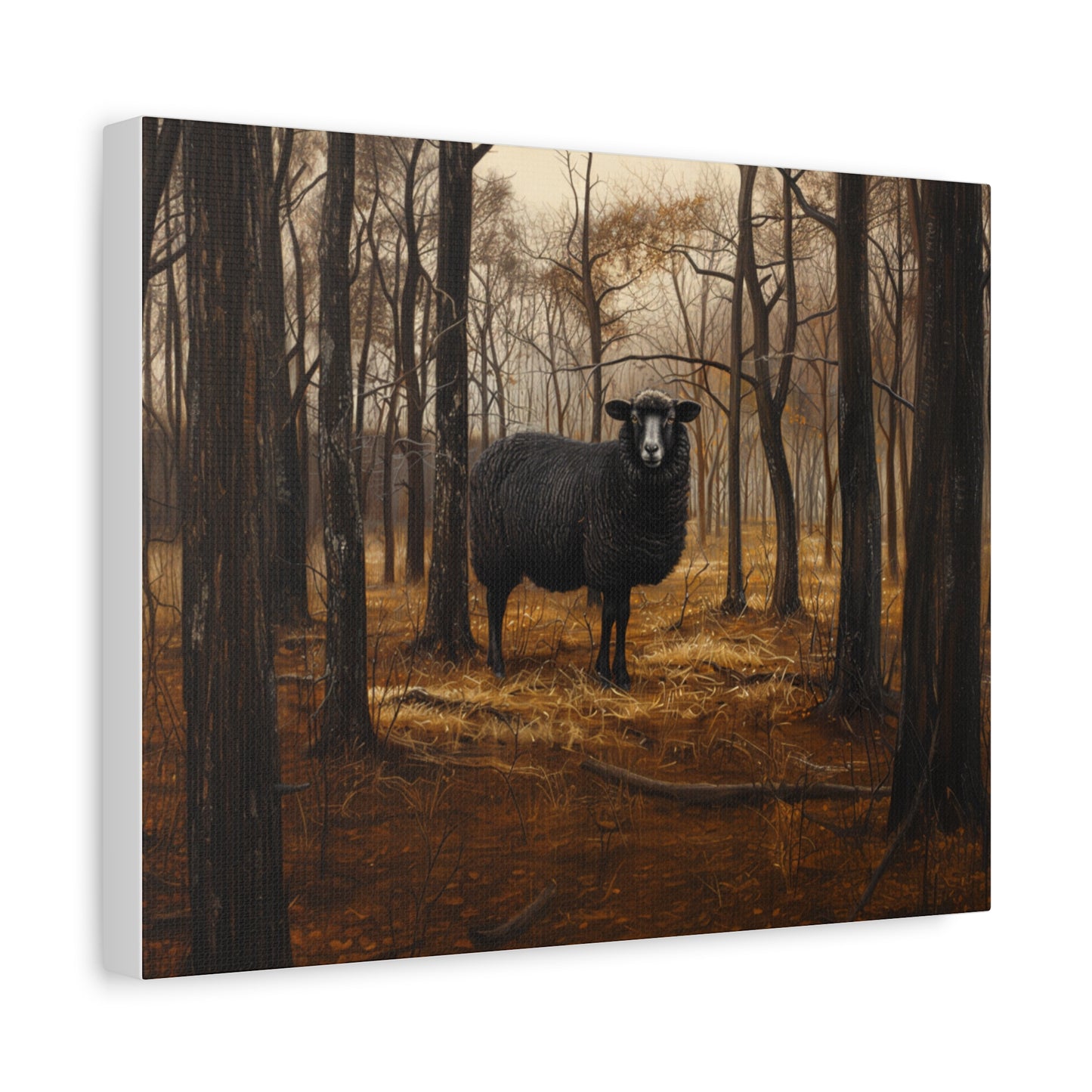 Black Welsh "Nova" Sheep Canvas 1.25"