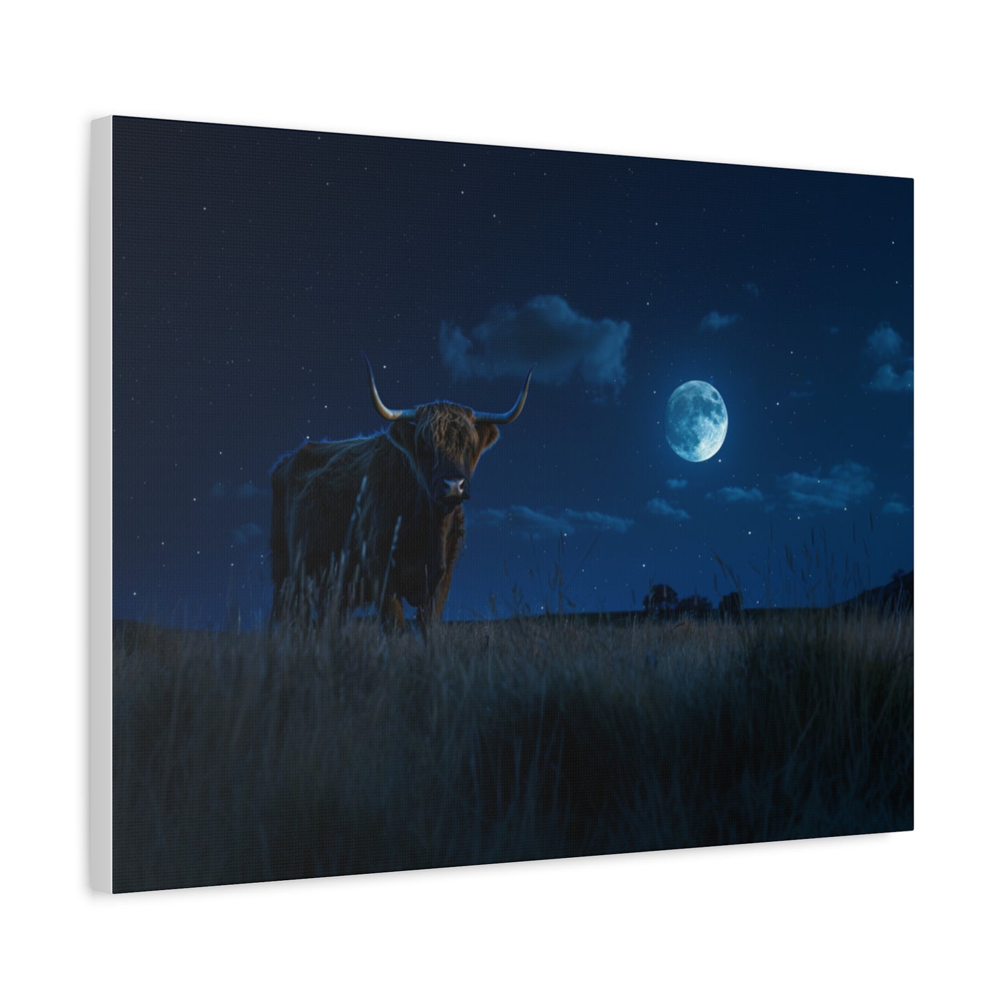 Highland "Starry Night" Cow Canvas 1.25"