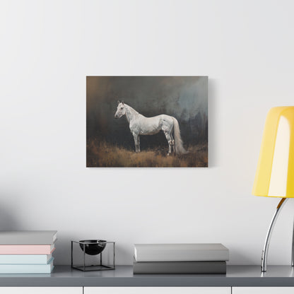 Stallion "Diamond" Canvas 1.25"