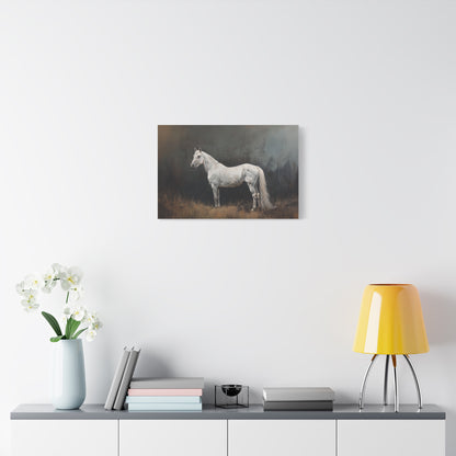 Stallion "Diamond" Canvas 1.25"