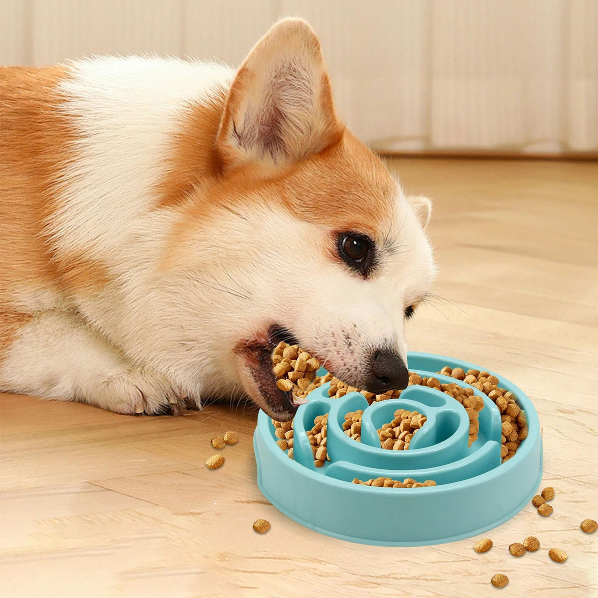 Non Slip Slow Feeder Anti Gulping Dog Bowl