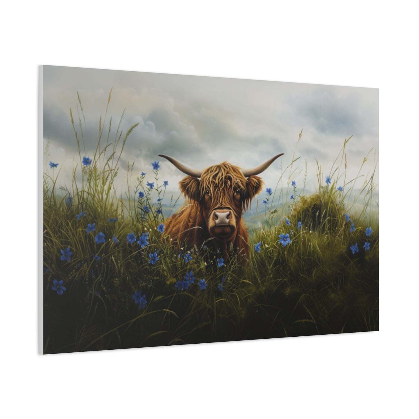 Highland "Forget Me Not" Cow Canvas 1.25"