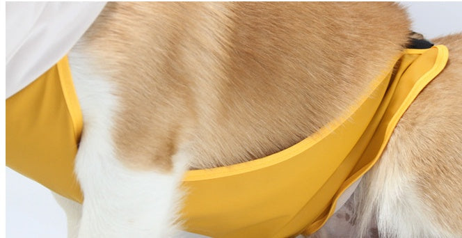 Transparent Dog Raincoat Brim Poncho Bellyband Waterproof Protection