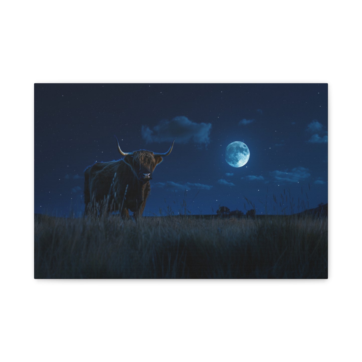 Highland "Starry Night" Cow Canvas 1.25"