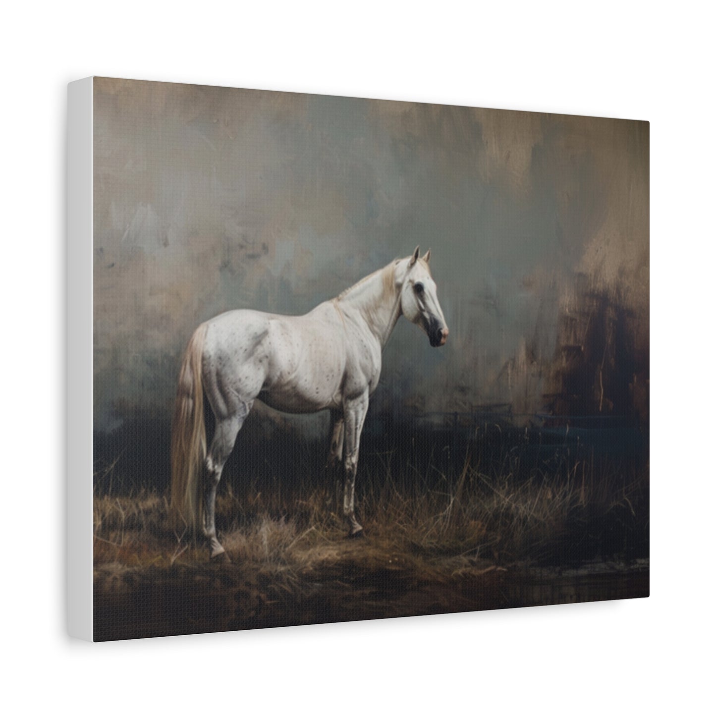 Stallion "Arctic" Canvas 1.25"