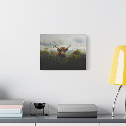 Highland "Forget Me Not" Cow Canvas 1.25"