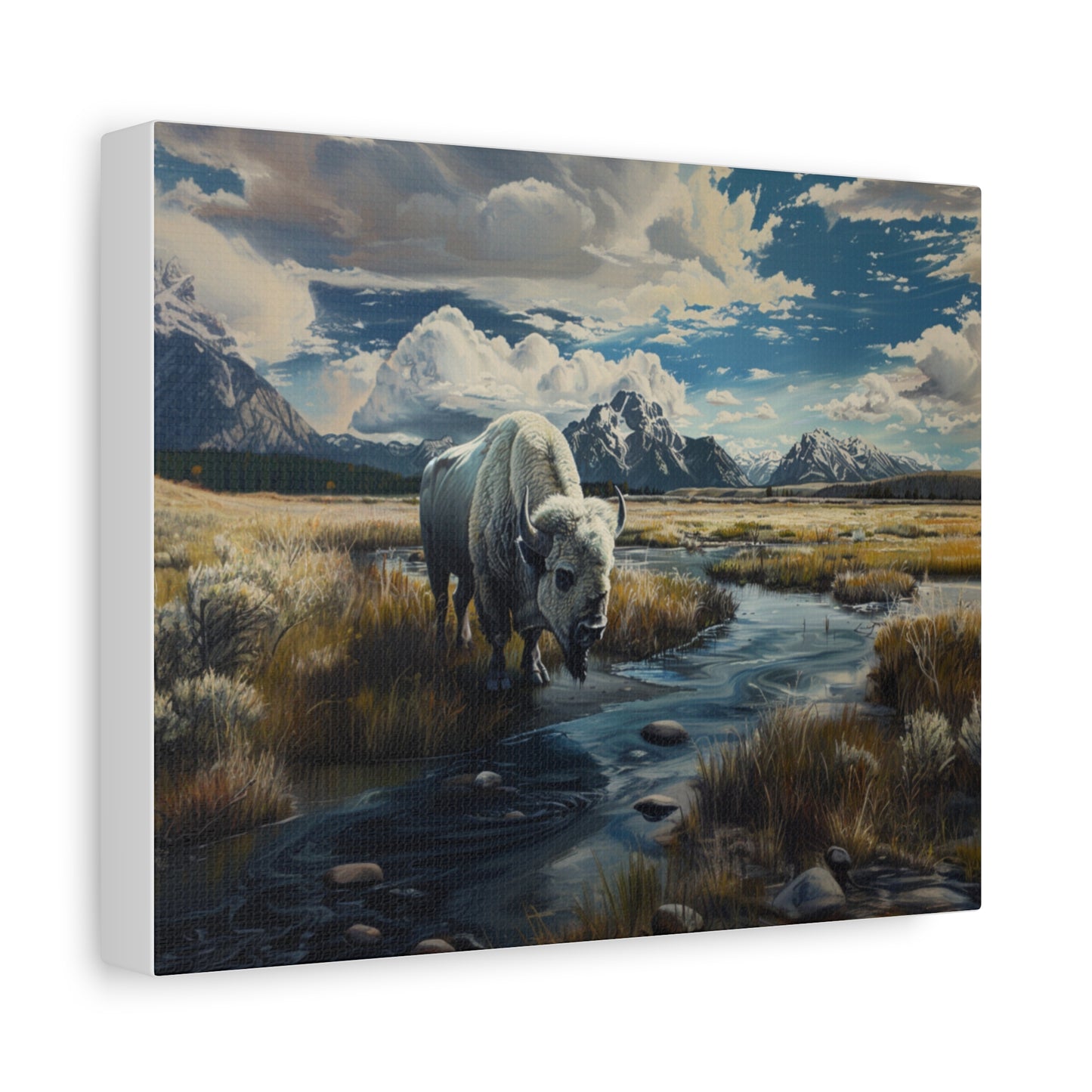 American "Spirit" Buffalo Canvas 1.25"