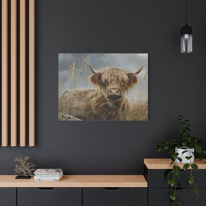 Highland "Goldilocks 2" Cow Canvas 1.25"