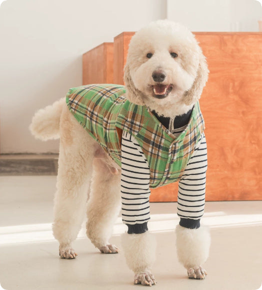 Thermal Protection Large Dog Winter Clothing Labrador Retriever