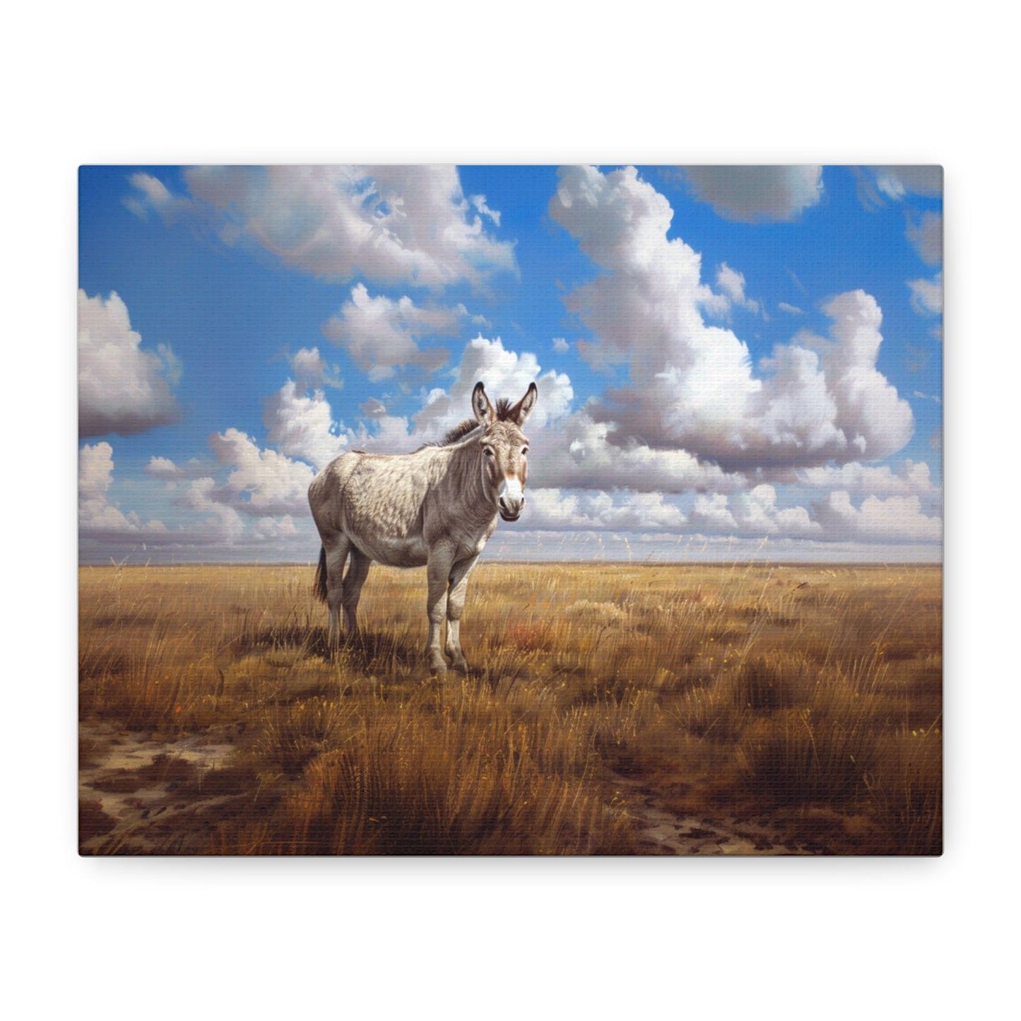 Donkey "Jill" Canvas 1.25"