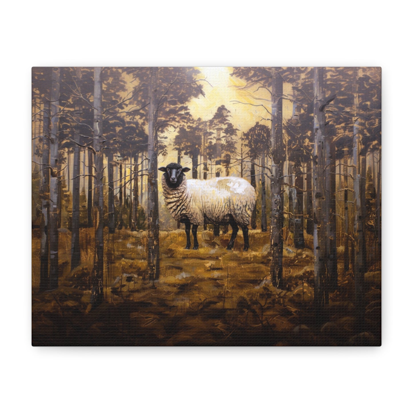 Suffolk "Jasper" Sheep Canvas 1.25"