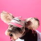 Dog Stitching Zipper Pullover Sweater Warm Comfortable Petwear
