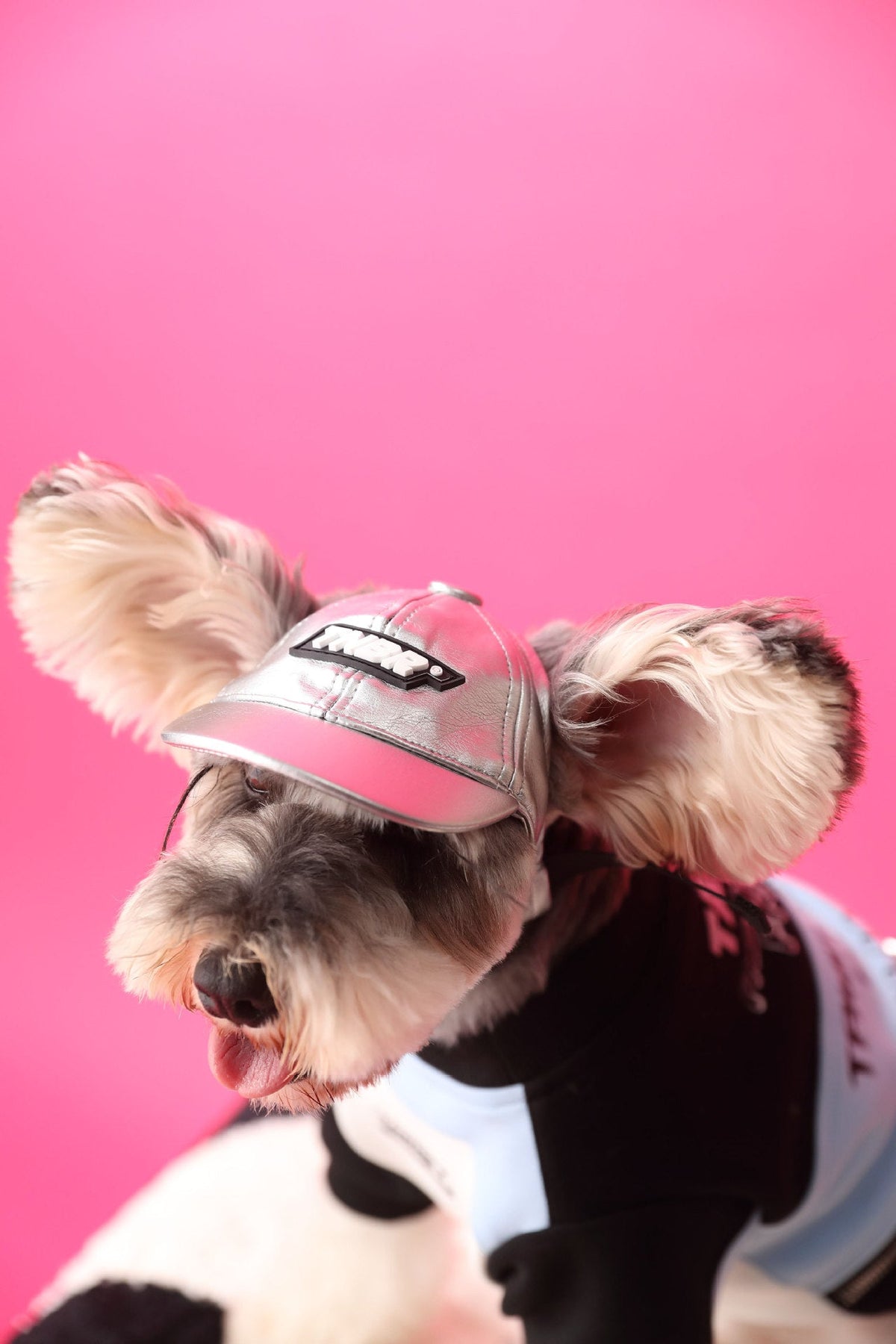 Dog Stitching Zipper Pullover Sweater Warm Comfortable Petwear