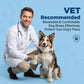 Breathable Waterproof Dog Shoes Hot Pavement Summer Boots