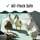 GrubFuel - Black Soldier Fly Larvae for chickens