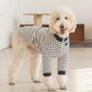 Thermal Protection Large Dog Winter Clothing Labrador Retriever