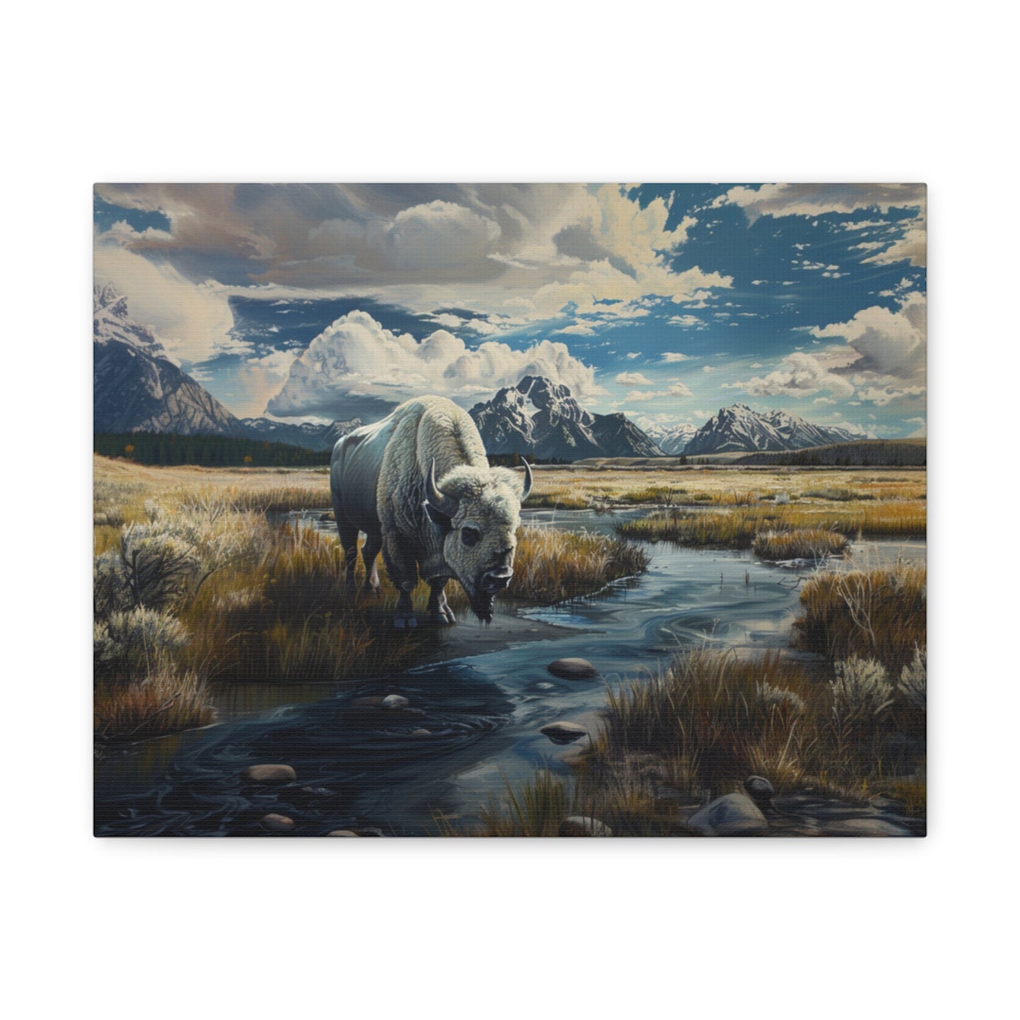 American "Spirit" Buffalo Canvas 1.25"