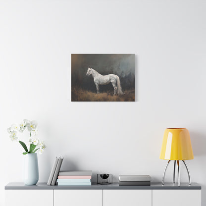 Stallion "Diamond" Canvas 1.25"