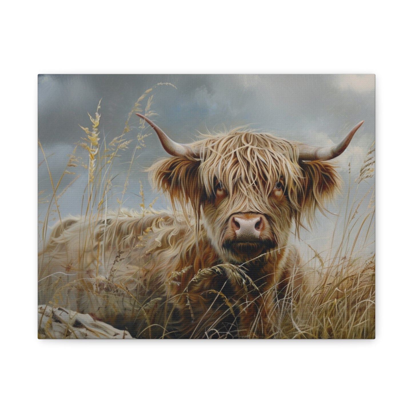 Highland "Goldilocks 2" Cow Canvas 1.25"