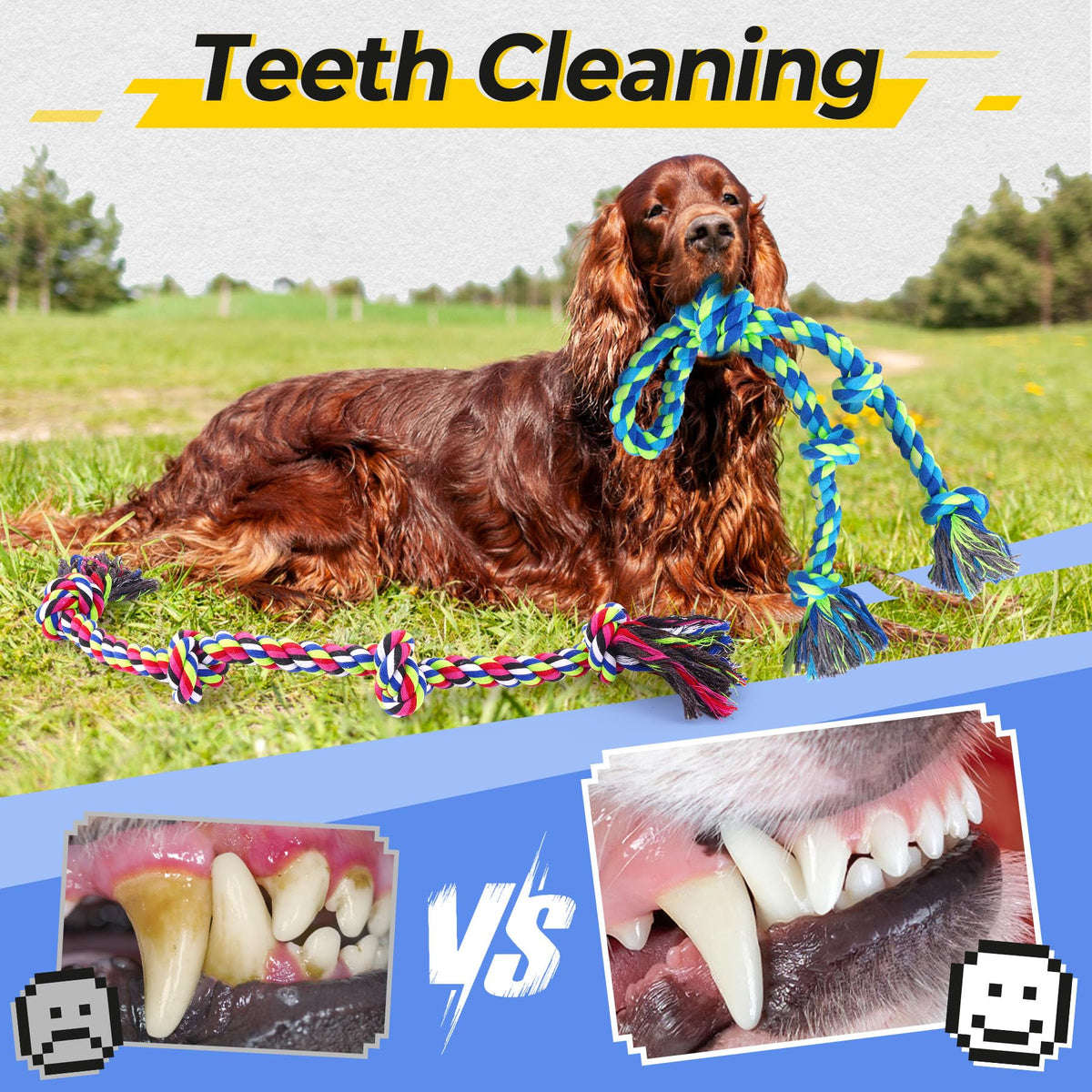 Tough Dog Rope Toy Tug Of War Chewers