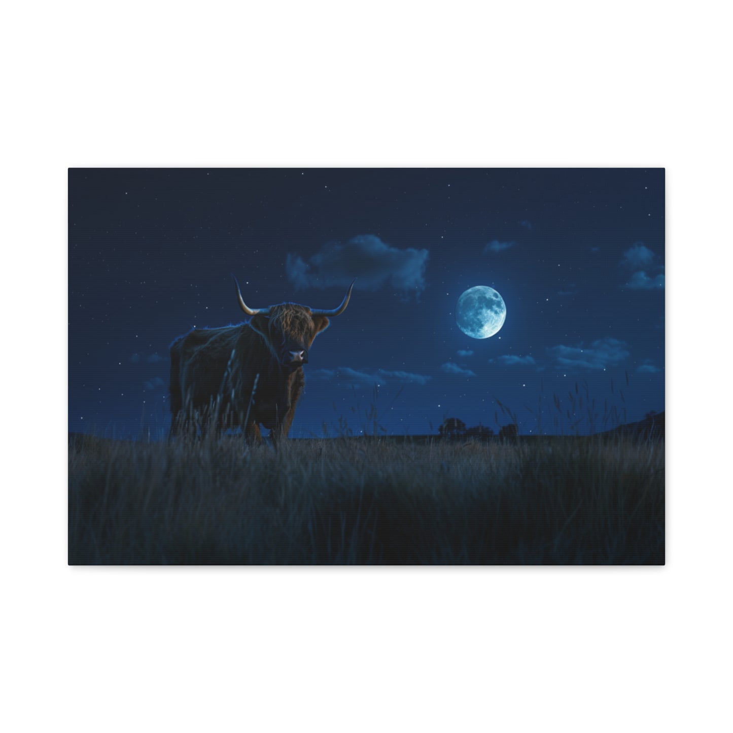 Highland "Starry Night" Cow Canvas 1.25"