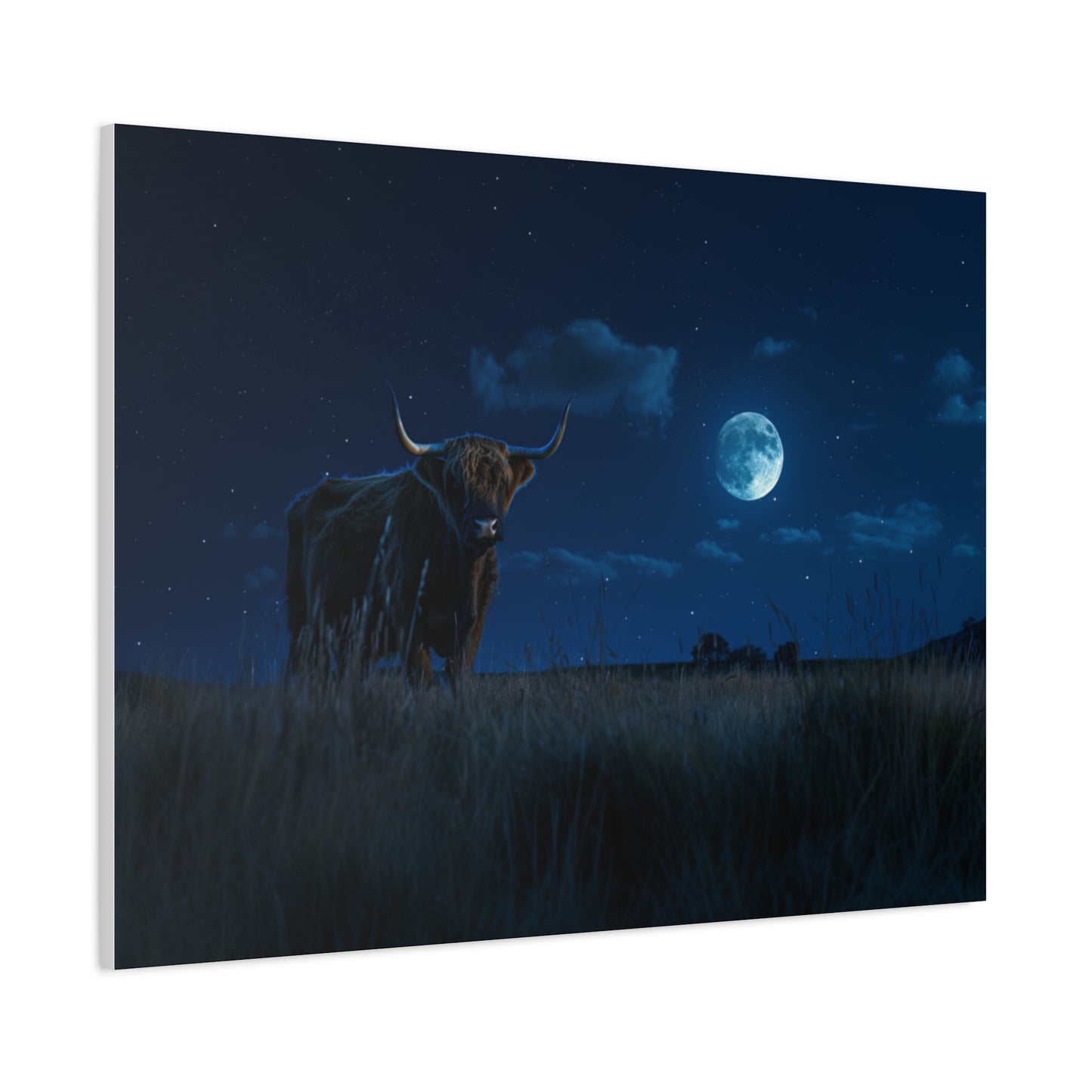 Highland "Starry Night" Cow Canvas 1.25"