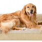 Waterproof Dog Bed With Removable Washable Cover Pet Supplies