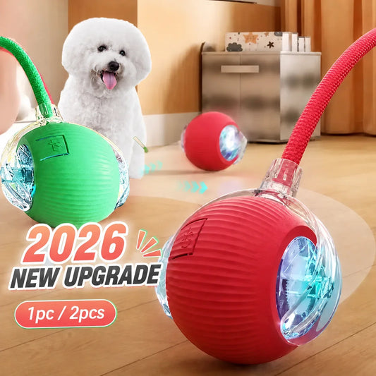 Rechargeable Automatic Rolling Interactive Dog Ball Toy