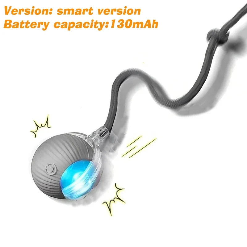 Rechargeable Automatic Rolling Interactive Dog Ball Toy