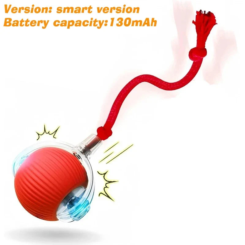 Rechargeable Automatic Rolling Interactive Dog Ball Toy