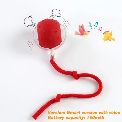 Rechargeable Automatic Rolling Interactive Dog Ball Toy