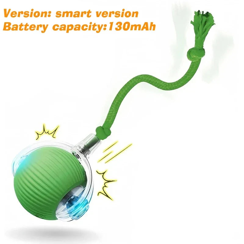 Rechargeable Automatic Rolling Interactive Dog Ball Toy