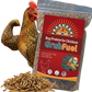 GrubFuel - Black Soldier Fly Larvae for chickens
