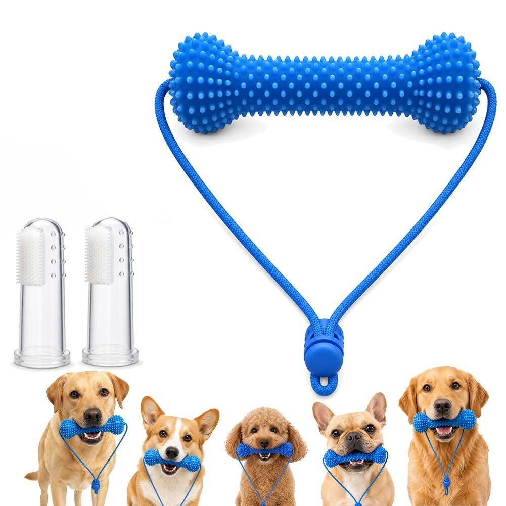 Dual Action Dog Dental Bite Brush Chew Toy