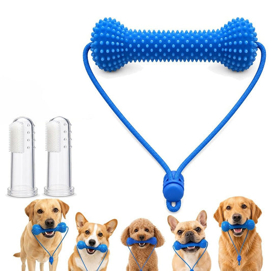 Dual Action Dog Dental Bite Brush Chew Toy