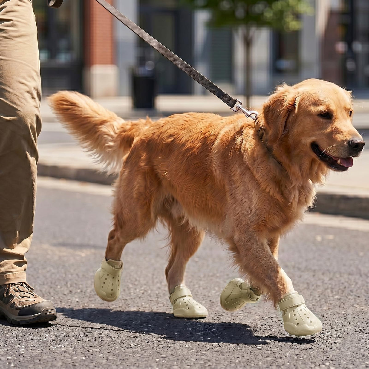 Breathable Waterproof Dog Shoes Hot Pavement Summer Boots