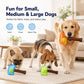 Tennis Ball Bottle Interactive Dog Chew Toy