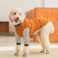 Thermal Protection Large Dog Winter Clothing Labrador Retriever