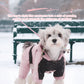 Thermal Dog Winter Coat Waterproof Hooded Snowsuit