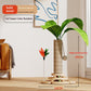 Solid Wood Cat Climbing Frame Scratching Board Toy
