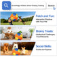 Herding Ball Dog Toy Handles Outdoor Training Interactive