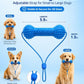 Dual Action Dog Dental Bite Brush Chew Toy