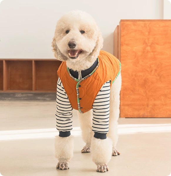 Thermal Protection Large Dog Winter Clothing Labrador Retriever