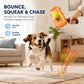 Tennis Ball Bottle Interactive Dog Chew Toy