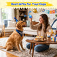 Automatic Rolling Interactive Dog Ball Toy With Rope